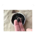 Extracto Caoba Al Agua 1 Kg. Aleman